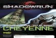 SR5 Shadows in Focus - Cheyenne