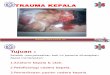 Trauma Kapitis - Spinal