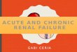 chronic and acute kidney failure