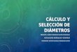 2.6 Cálculo y Selección de Diámetros