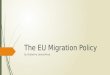 The EU Migration Policy