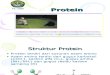 Protein 12009