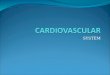 Anvet I - 06 - Sistem Kardiovaskuler.ppt