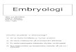 Moelcular Embryology