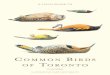 A Field Guide to Common Birds of Toronto (F.L.a.P., 2009)