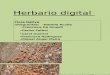 Herbario Digital Flora Nativa Chilena