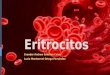 2. Eritrocitos