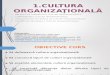 1Cultura organizationala