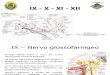 IX 2013 X  - XI - XII.pdf