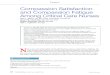 Compassion Satisfaction and Compassion Fatigue Among Critical Care Nurses