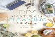 DIY Natural Cleaning Challenge Sample