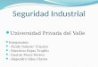 Seguridad Industrial Diapositivas de Exposicion