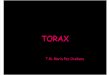 Torax presentacion