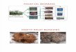 Palm Oil Biomass