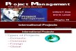 The Managerial Process International Projects Chap15-V2