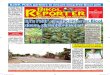 Bikol Reporter February 28 - March 6, 2016 Issue