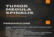 Tumor Medula Spinalis NEW