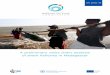 A preliminary value chain analysis of shark fisheries in Madagascar