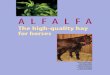 Alfalfa Horses (Low Res)