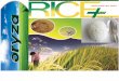 2nd November ,2015 Daily Exclusive ORYZA Rice E-Newsletter by Riceplus Magazine