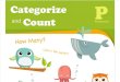Categorize and Count Workbook