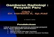 Materi Kuliah VI - Gambaran Radiologi-penyakit Paru