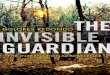 The Invisible Guardian by Dolores Redondo extract