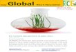 19th March,2015 Daily Global Rice E_Newsletter by Riceplus Magazine