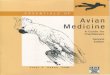 Essentials of Avian Medicine a Guide for Practitioners