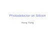 Hengyang Photodetector