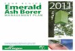 Emerald Ash Borer Management Plan2011