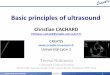 Basic Ultrasound 2013 Cachard Archamps