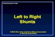 Lt or Shunts