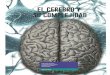 IBRO Course Interview: Fourth International Course in Neurobiology: Electrophysiological,  Cellular, and Computational Approaches to Study the Nervous System