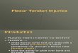 IT 18 - Flexor Tendon PP