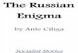 The Russian Enigma - Ante Ciliga