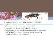 Typhoid Fever Ppt 30-3-10