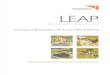 LEAP 2nd Edition with Update.pdf