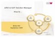 51123370 Aris Sap Solution Manager How to Integrate 120613093529 Phpapp02
