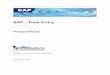 1 SAP Time Entry Manual_201410101458191529