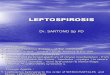 Leptospirosis 12 Oct
