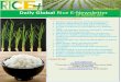 14th November 2014 Daily Global Rice E-Newsletter by Riceplus Magazine