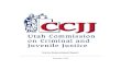 CCJJ Justice Reinvestment Report