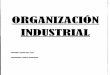 ORGANIZACION INDUSTRIAL.pdf