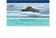 The Bering Strait Marine Life and Subsistence Data Synthesis