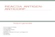 LP1 Reactia Antigen-Anticorp Nutritie