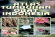 Atlas Tumbuhan Obat INDONESIA JILID 4 - Farmasi