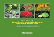 The Use of Herbal Medicines in Primary Health Care