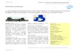 Aircraft Structure Analysis Guide