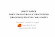 Totten Shale Gas Hydraulic Fracturing - Fracking Issues Challenges White Paper 12-05-2013 200 PPT